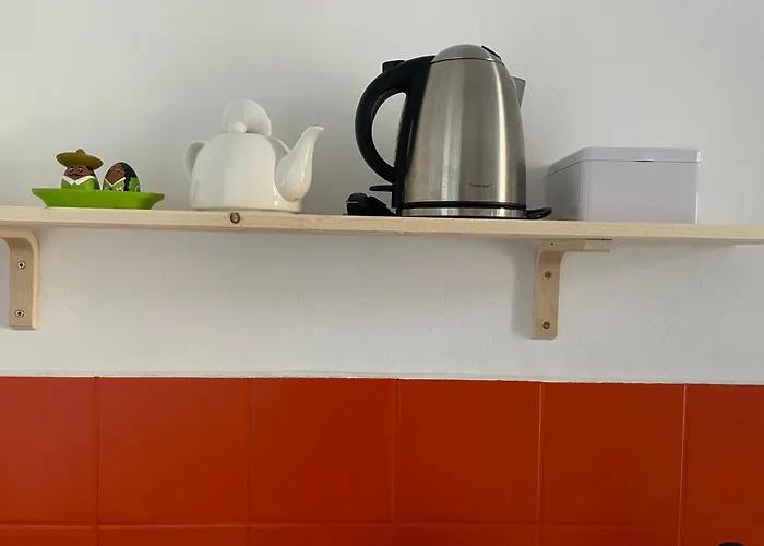 Wunderschoenes Ferienappartment In Toplage 公寓 德累斯顿